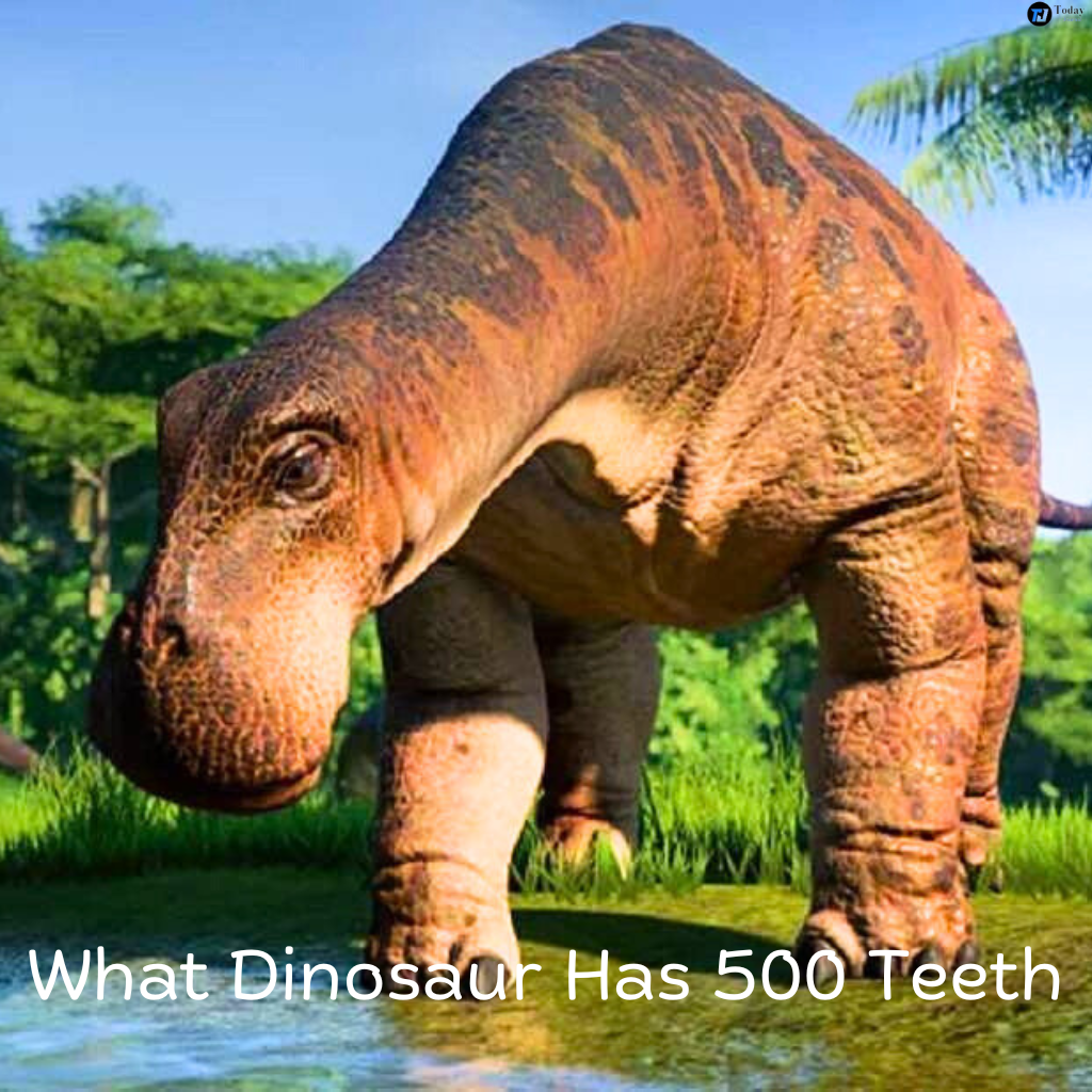 What Dinosaur Has 500 Teeth